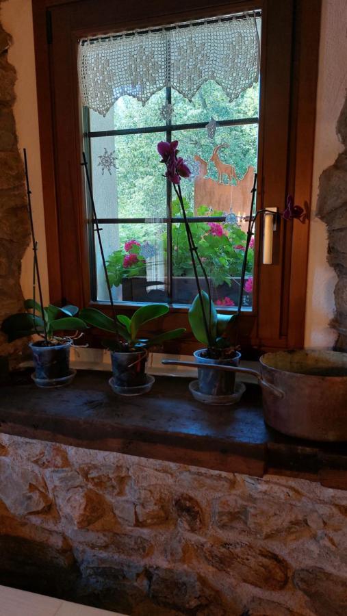 Beb Luca76 Bed & Breakfast Avise Ngoại thất bức ảnh